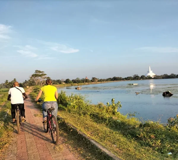Anuruaidehapura Bicycle Tour