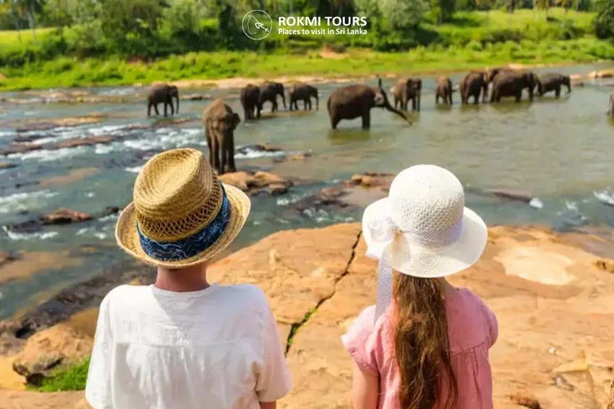 Family Tours In Sri Lanka Sri Lanka Family Holiday Packages Family Tours In Sri Lanka Sri Lanka Family Holiday Packages