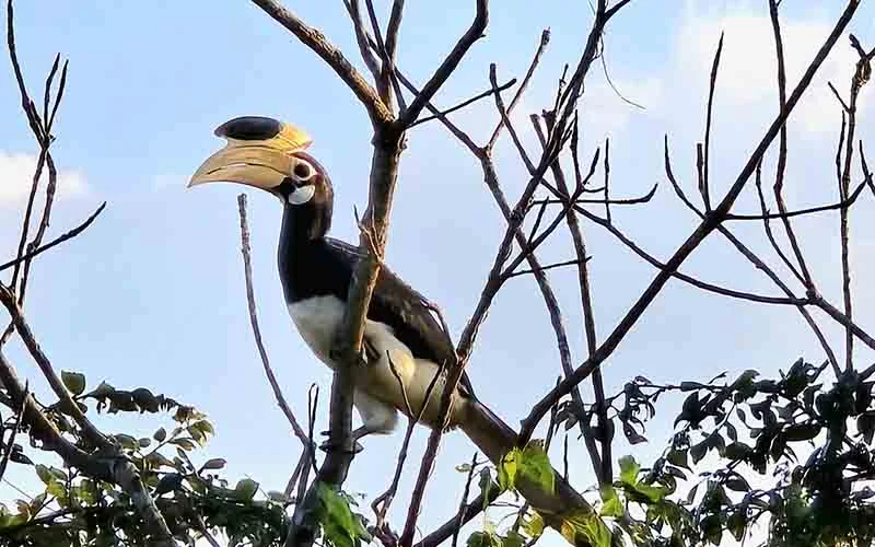Yala National Park Jeep Safari