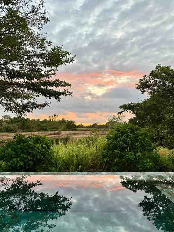 Honeymoon in Sri Lanka: Romantic Guide for Couples Honeymoon in Sri Lanka